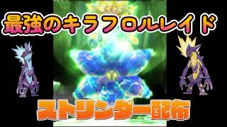 最強のキラフロルレイド攻略　キラフロル対策用ストリンダー配布します！　【ポケモンsv】