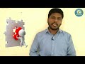 How to choose best therapist in ASD | Autism best therapist | In Telugu by Autism wheels