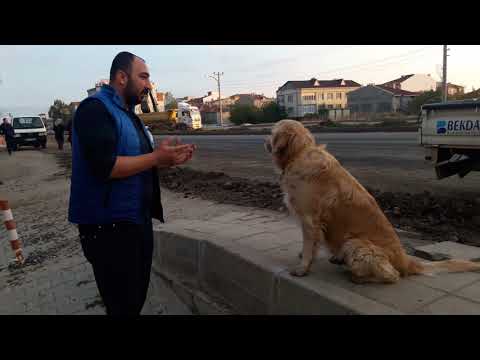 Benim beklentim bir hav demek 😁😁