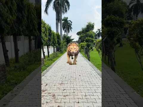 What did Karishma Lavi show here🦁😳#sh