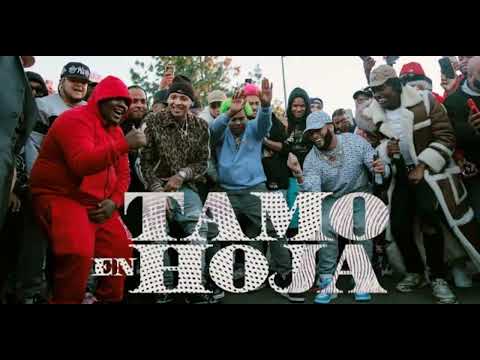 El Alfa "El Jefe" x Dowba montana    x MarkB - Tamo En Hoja (Video Oficial)