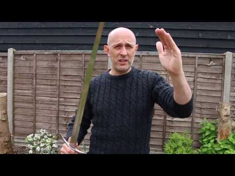 Striking and cutting with swords in martial arts