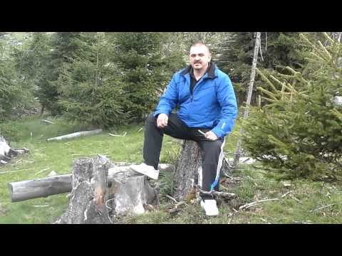 Ce a ramas din padure la Maguri-Racatau