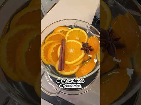 How to fix the dog smell in your house! What are your best smell hacks for the home? 👀🐾 #thebkpets