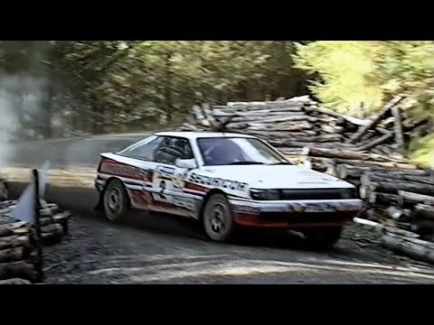 1988 Mewla & Harry Flatters Rallies, 1989 Welsh Rally ('Dragon in the Forest')