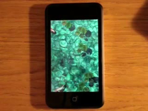 Koi Pond (iPhone/iPod Touch App) Review