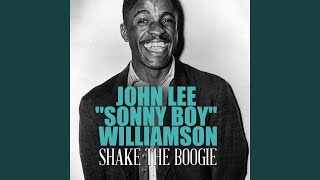 Shake the Boogie
