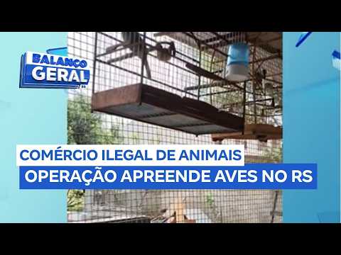Operação fiscaliza comércio ilegal de animais silvestres em Erechim