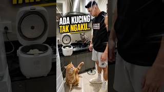 Download lagu “Saya saksi je bang!”🤣#AbangKekLapisDanOyen #Oyen #TakNgaku #KucingOren #KucingLawak #ComedyShorts mp3 Download lagu “Saya saksi je bang!”🤣#AbangKekLapisDanOyen #Oyen #TakNgaku #KucingOren #KucingLawak #ComedyShorts mp3