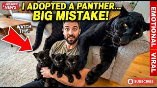 I Saved a Dying Black Panther Cub… Years Later, She Returned #BlackPanther #wildliferescue MQDEFAULT Thumbnail