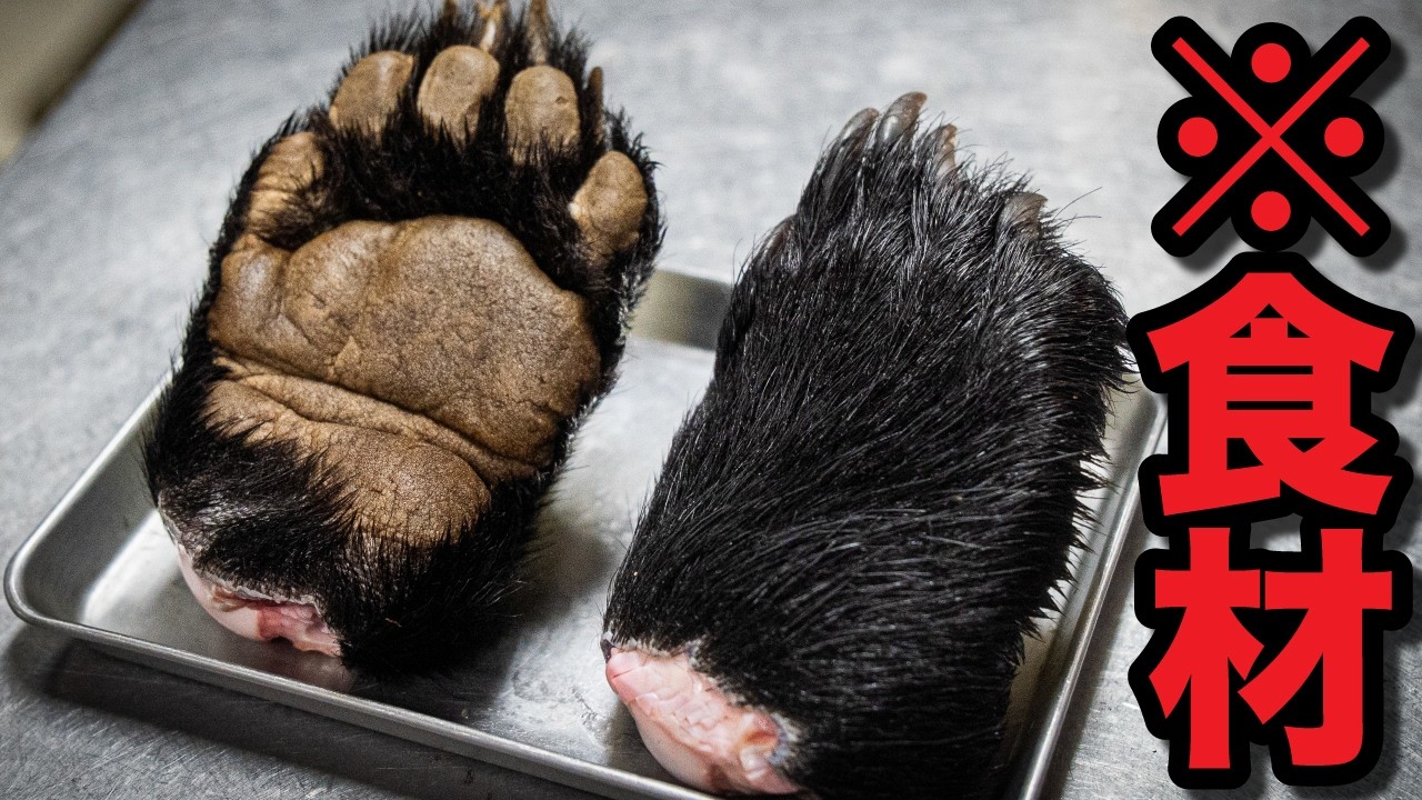 【神回】一皿10万円！？超希少高級料理の熊の手は信じられない味だった。