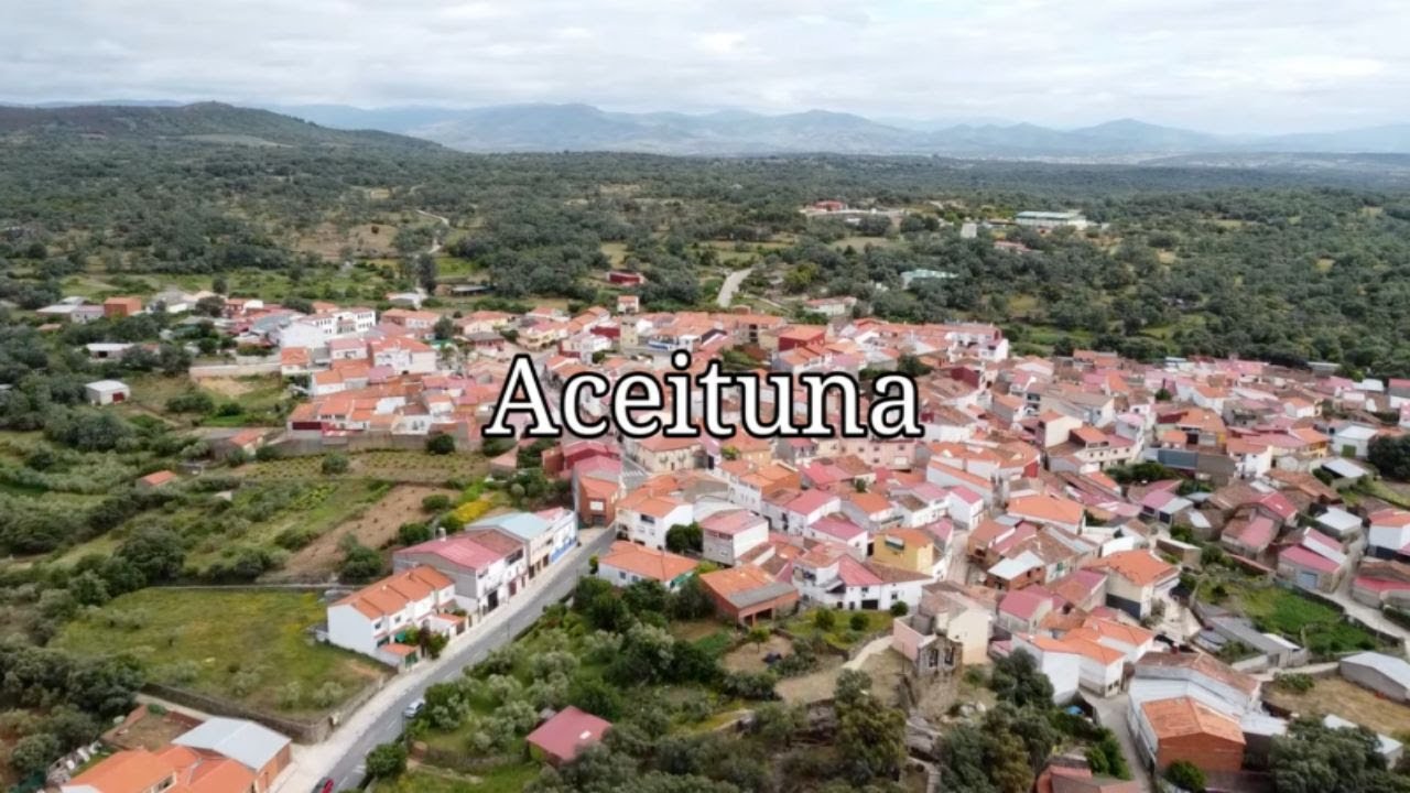 Video presentación Aceituna