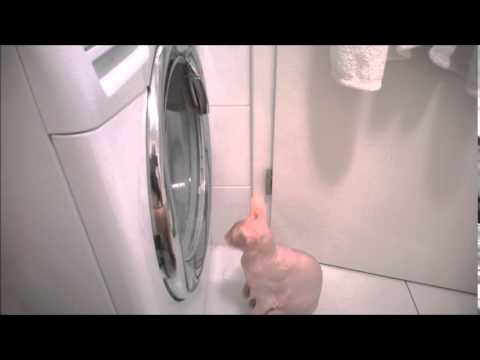 Kako zajebavati Juru 59 minuta