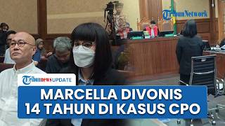 Divonis 14 Tahun Penjara Kasus Suap Migor, Marcella Santoso: Saya Bukan Pejabat Negara
