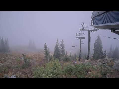 Summit Central Top