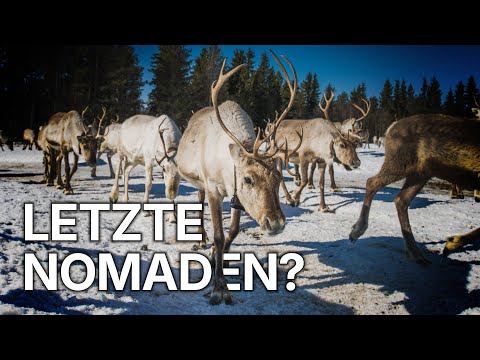 Der Rentier Treck | Tradition in der Arktis