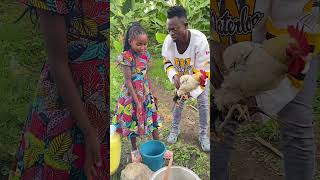 Download lagu Di mana kesalahan Luhyas 😂💔 #wangacomedy #comedy mp3