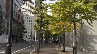 ≪ゼロ人のタコヤリイカ≫