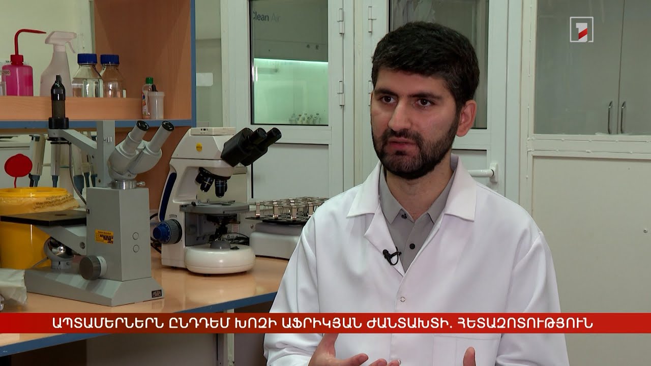 Ապտամերներն ընդդեմ խոզի աֆրիկյան ժանտախտի. հետազոտություն