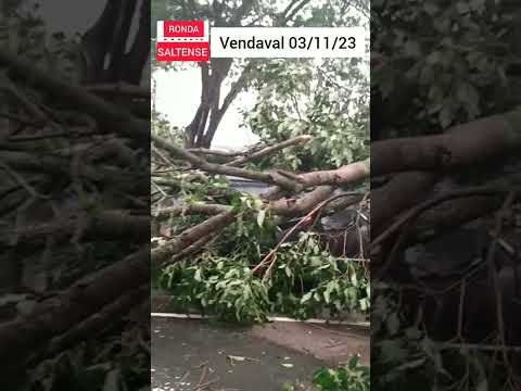Vendaval derruba árvore em carro Salto-SP #saltosp #saopaulo #vendavais #ventoforte   #chuva