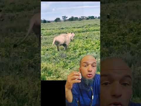 اللهم #bn_assila #محمد_بن_عسيلة #shorts