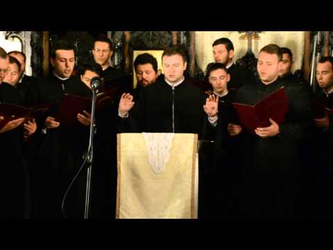 Grupul Vasile cel Mare - Troparul Sfantului Antonie de la Iezerul - Valcea