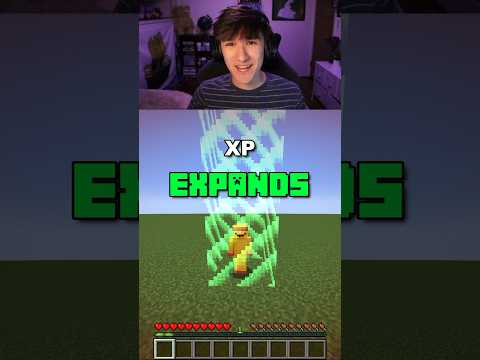 WyFryWab - Minecraft, But XP Expands The Border (Short) 😳