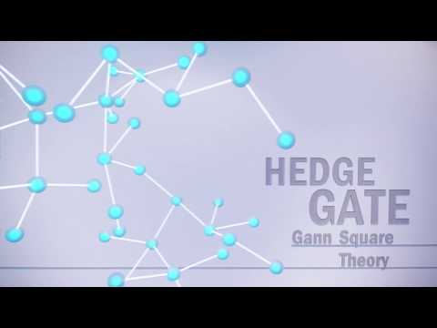 HEDGE GATE 3.1.15 Meta Trader5