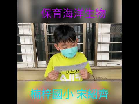 楠梓國小 麥塊SDGs聯合國永續發展目標   宋O齊-麥塊SDGs程式競賽-111學年第一學期