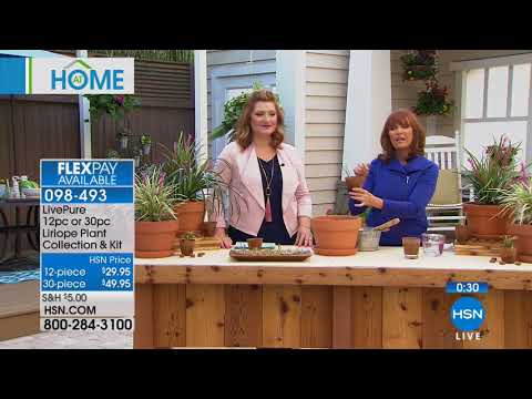 HSN | AT Home 03.16.2018 - 09 AM