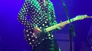 Robyn Hitchcock - Insanely Jealous