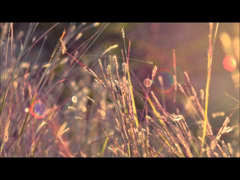 Birkwin Jersey - The Lost, The Looking