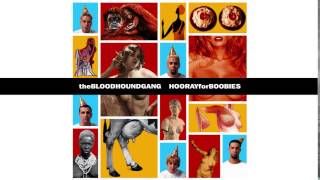 Bloodhound Gang - This Is Stupid