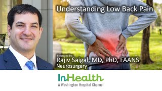 Understanding Low Back Pain