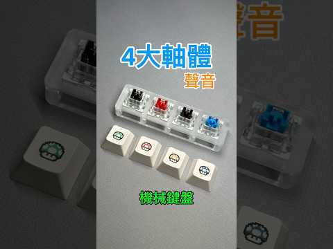 機械鍵盤 4大軸體 青軸 紅軸 茶軸 黑軸 段落軸 線性軸 聲音 軸體介紹 keyboard switch