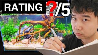 I reviewed Fish Tanks at a COMPETITION