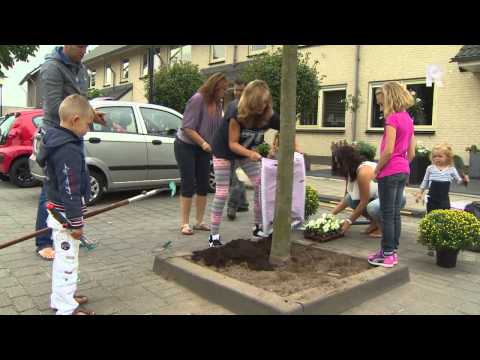 De leukste straat van Barendrecht