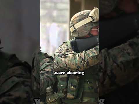 Sergeant Rafael Peralta #usarmy #usarmedforces #navyseals #ourlostheroes #subscribe #like