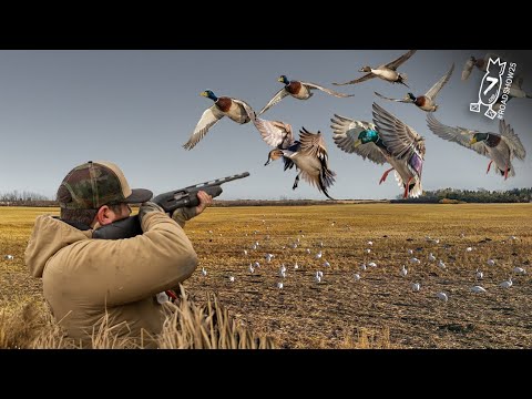 64 BIRDS DOWN FAST! 12 MALLARDS FROM 1 FLOCK – Epic Duck Hunt | #ROADSHOW25 HUNT 7