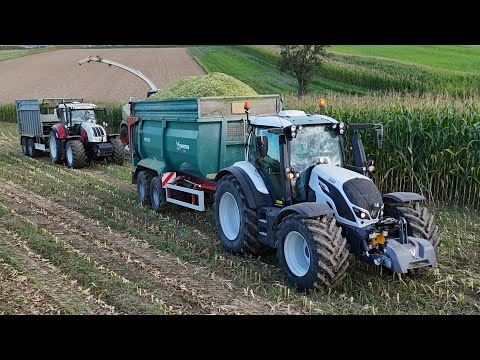 Maisernte 2025 🌽 startet in Niederösterreich mit 2 Häckselketten | LU Deutschbauer