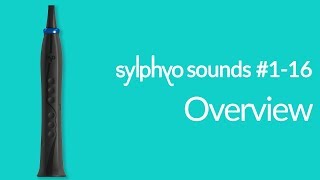 Sylphyo: Overview of the sixteen first sounds
