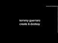 tommy guerrero-create & destroy