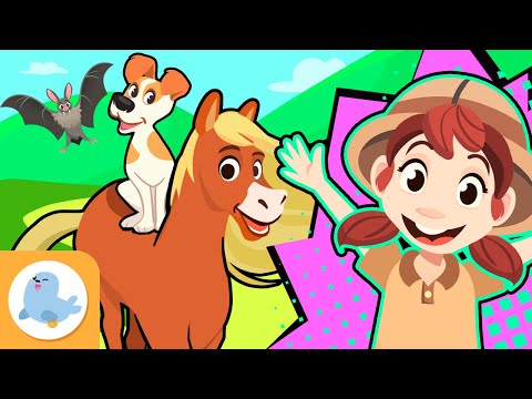 MAMMALS for kids 🐶🦁🐘🦒🐯🦓 Characteristics and curiosities