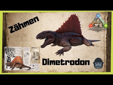 ARK‬ Survival Evolved Dimetrodon zähmen 2021 [/Taming/INFO/ GUIDE/Deutsch/Dinos zähmen]