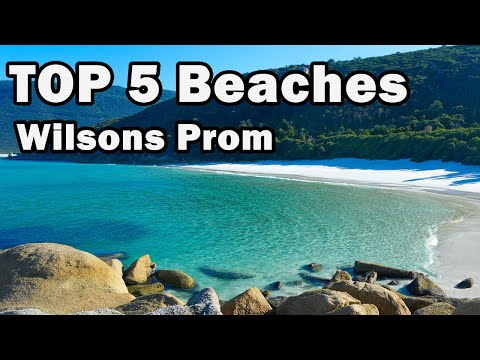 Top 5 Beaches at Wilsons Promontory National Park (Yiruk Wamoon) (Aus, Vic)