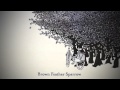 Brown Feather Sparrow - We have to Run 