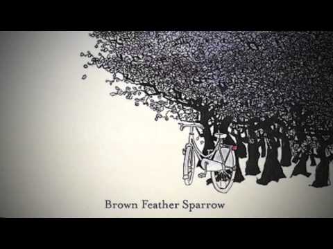 Brown Feather Sparrow - We have to Run