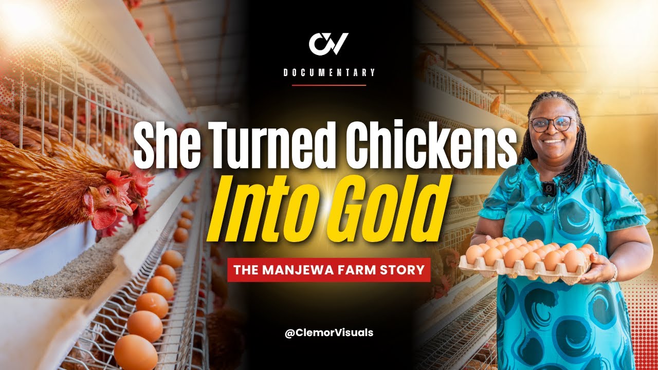Inside Kenya’s Poultry Farming Business | The Manjewa Farm Story
