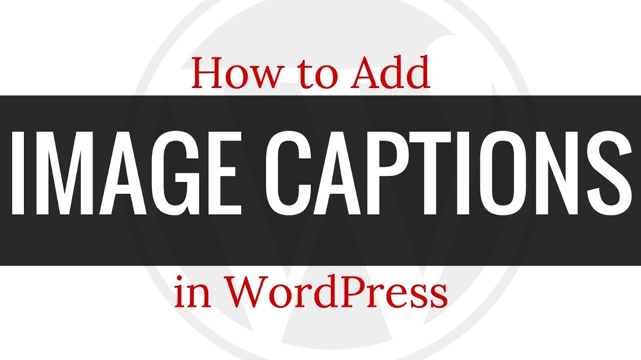 How to Add a Caption to Images in WordPress