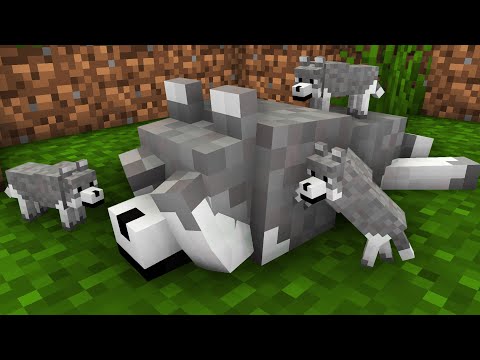 BREWING BABY | Wolf Life Episode 9